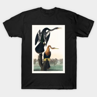 Black-bellied Darter from Birds of America (1827) T-Shirt